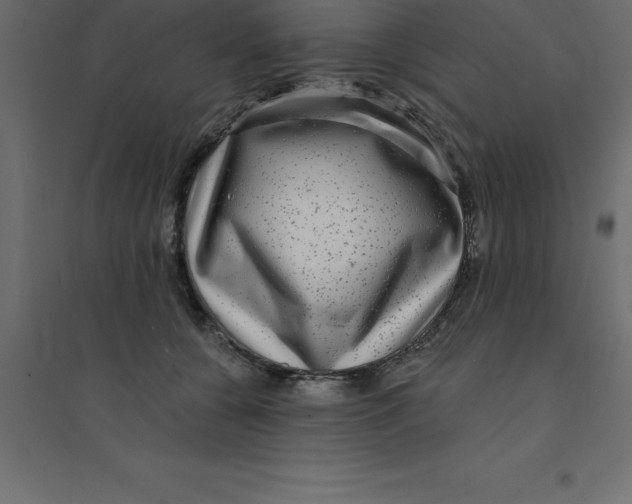 X0000094350560200711241917