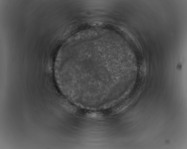 X0000094350561200711241917