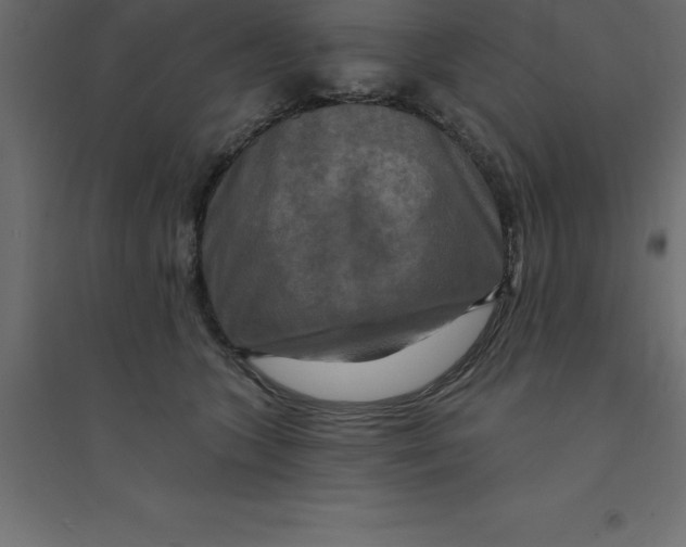 X0000094350563200711241917