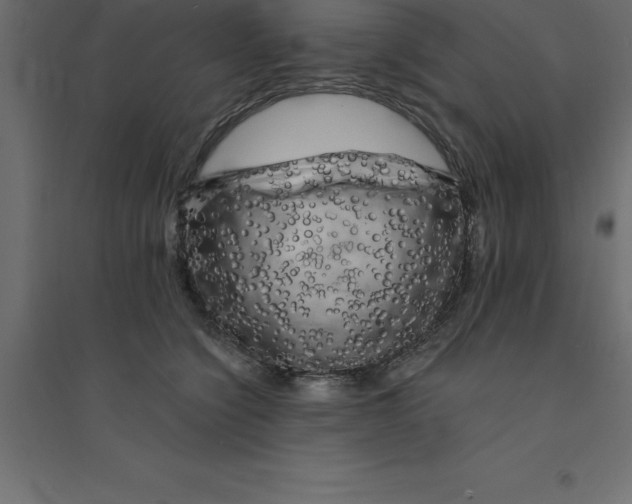 X0000094350564200711241917