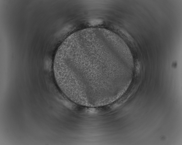 X0000094350565200711241917