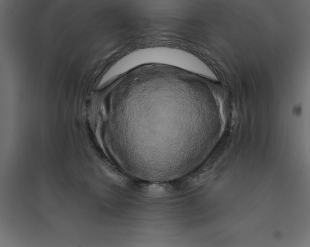 X0000094350566200711241917