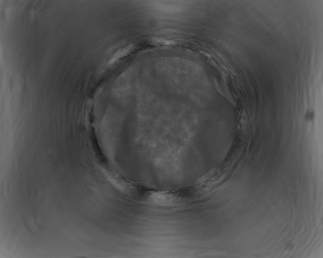 X0000094350568200711241917