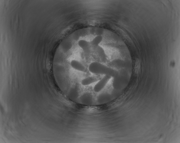 X0000094350569200711241917