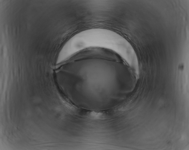 X0000094350570200711241917