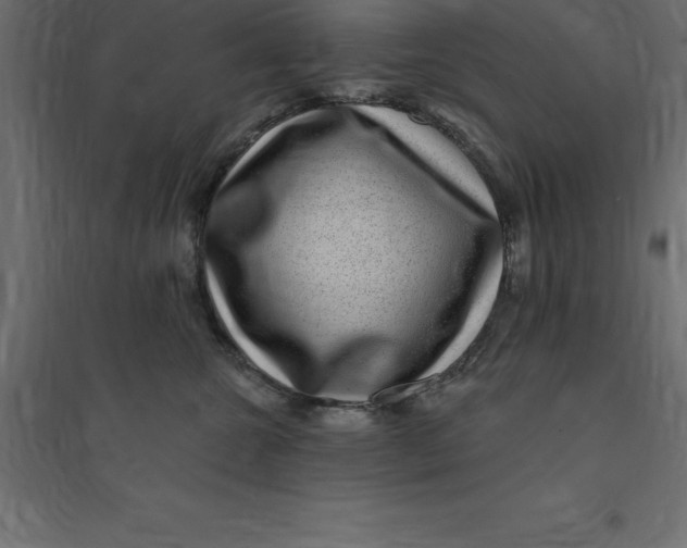 X0000094350572200711241917