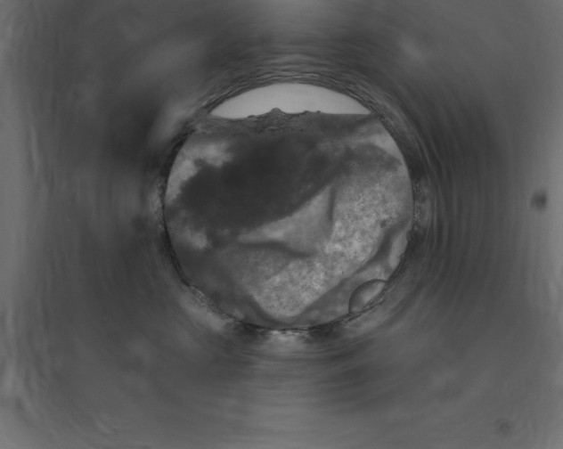 X0000094350573200711241917