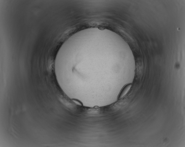 X0000094350574200711241917