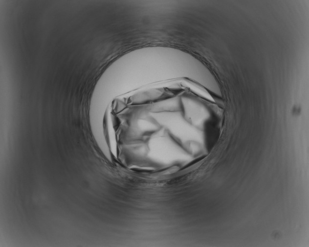 X0000094350576200711241917