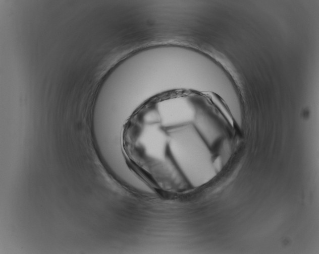 X0000094350577200711241916