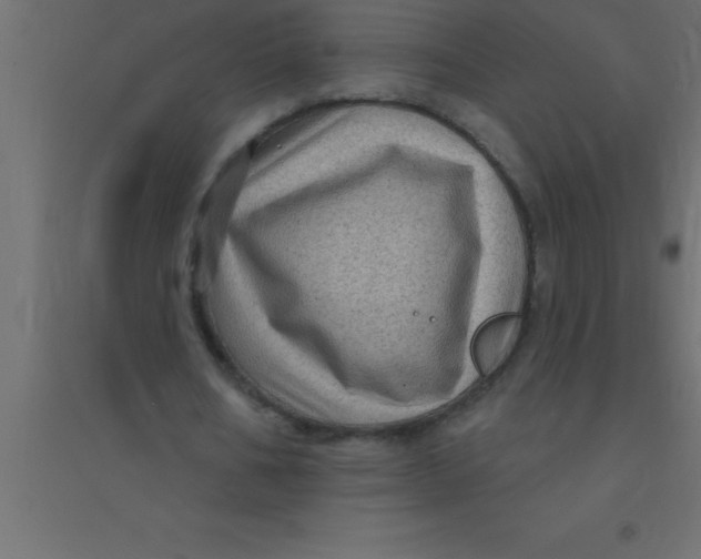 X0000094350578200711241916