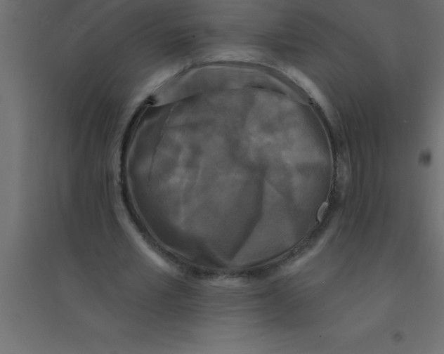 X0000094350581200711241916