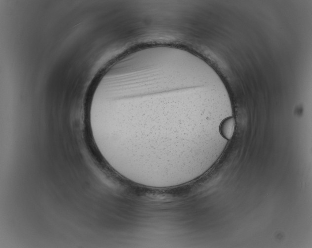 X0000094350582200711241916