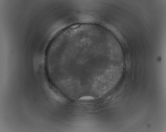 X0000094350583200711241916