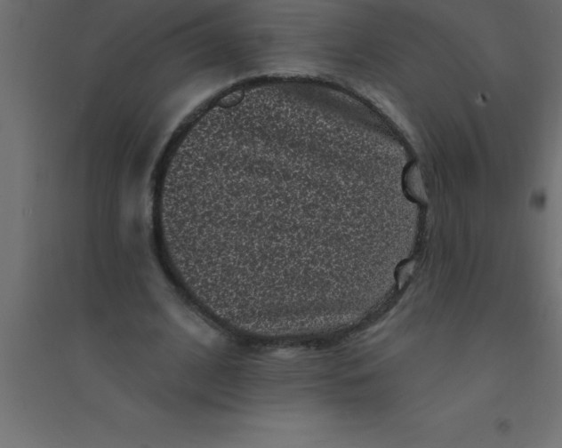 X0000094350584200711241916