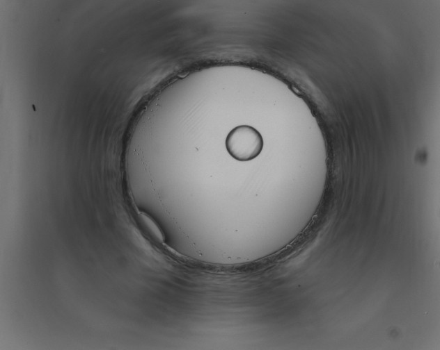 X0000094350585200711241916