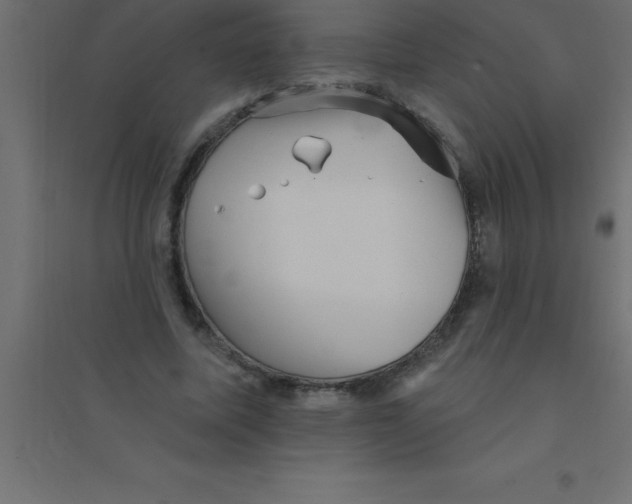 X0000094350587200711241916