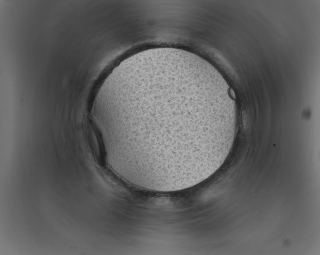 X0000094350588200711241916