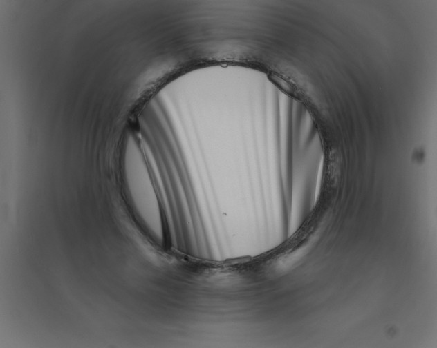 X0000094350589200711241916