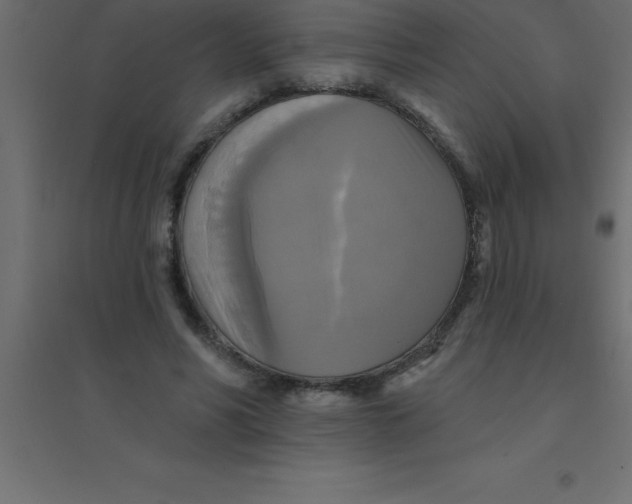 X0000094350590200711241916