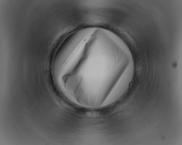 X0000094350591200711241916