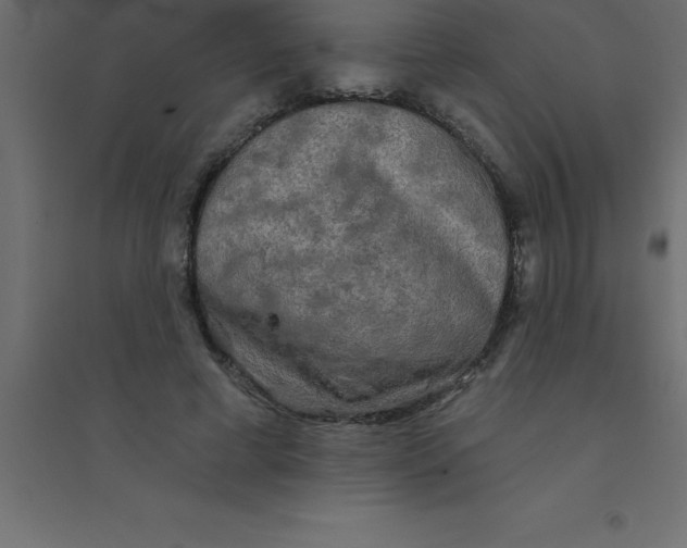 X0000094350593200711241916