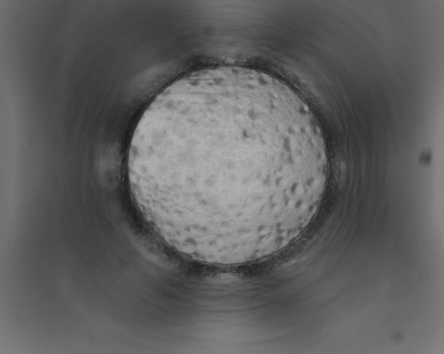 X0000094350594200711241916