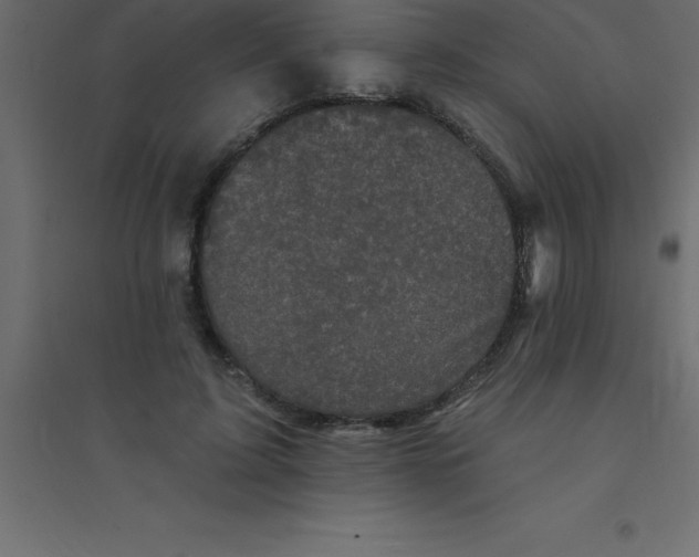 X0000094350595200711241916