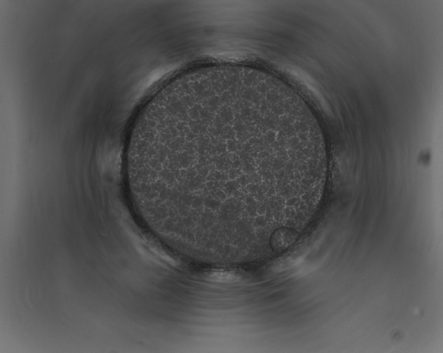 X0000094350596200711241916