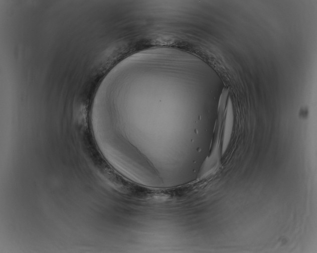 X0000094350598200711241916