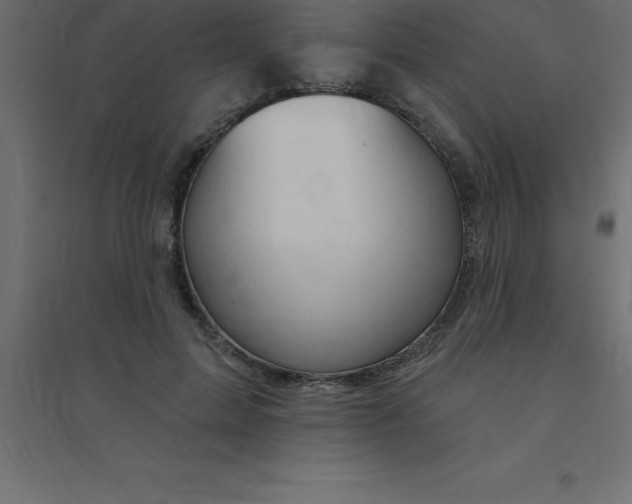 X0000094350599200711241916