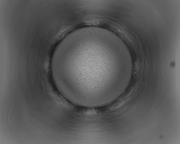 X0000094350600200711241916