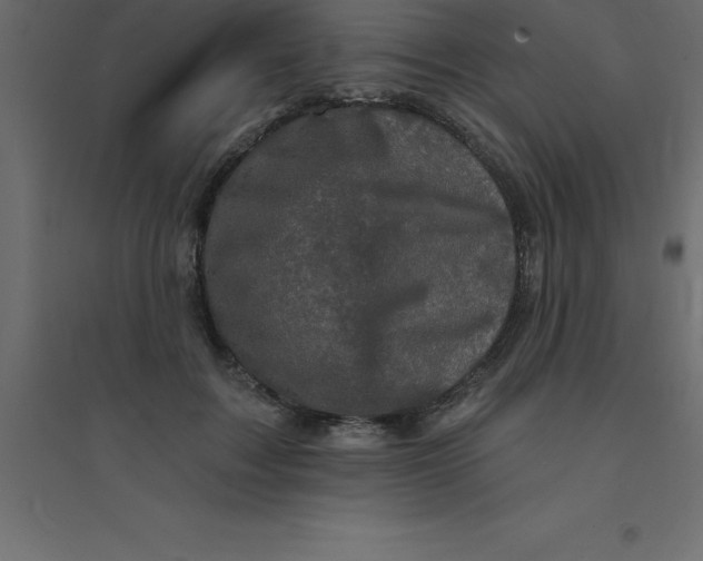 X0000094350603200711241916