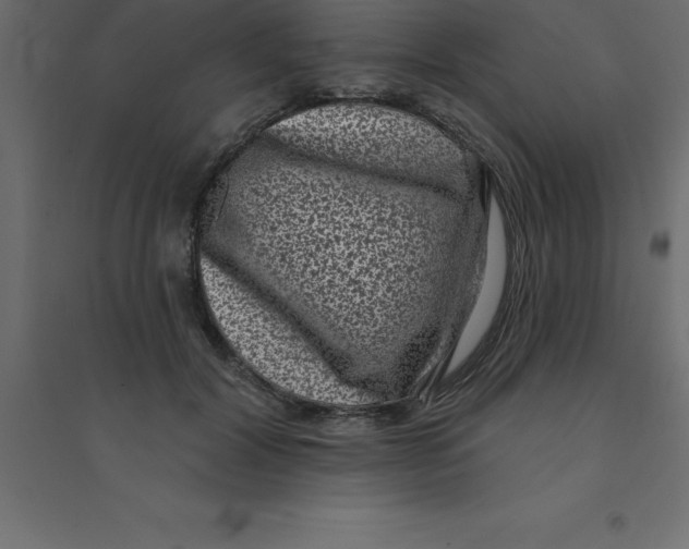 X0000094350604200711241916