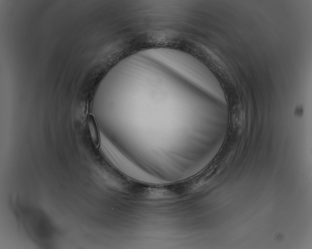 X0000094350605200711241916