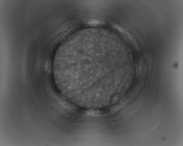 X0000094350606200711241916