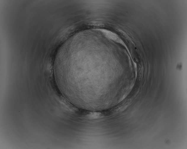 X0000094350609200711241916