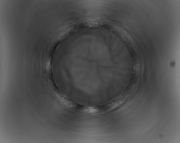 X0000094350610200711241916