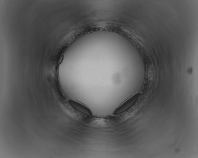 X0000094350611200711241916