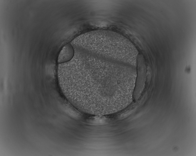 X0000094350612200711241916