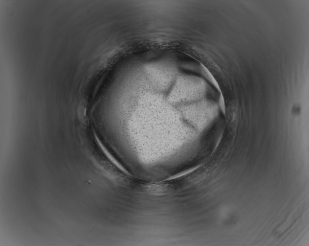 X0000094350615200711241916