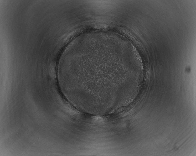 X0000094350616200711241916