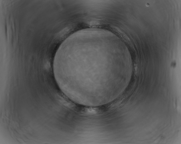 X0000094350618200711241916