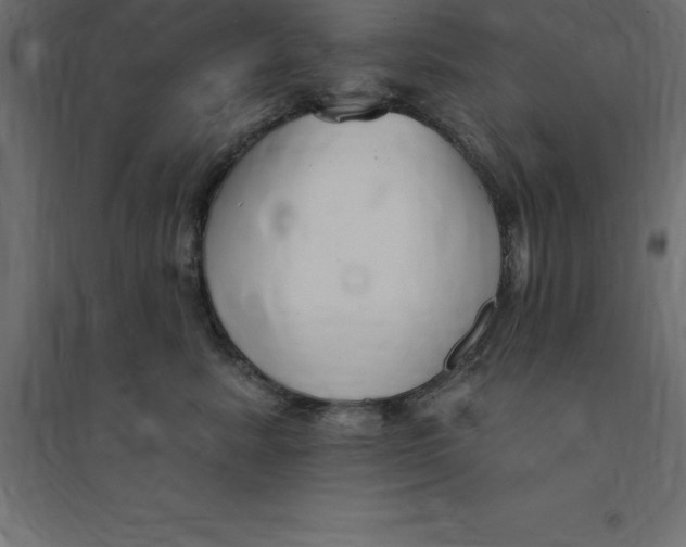 X0000094350619200711241916