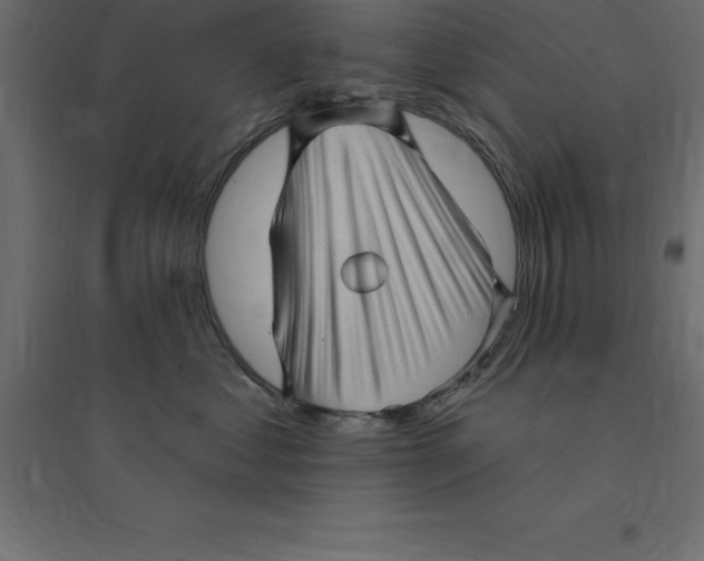 X0000094350621200711241916