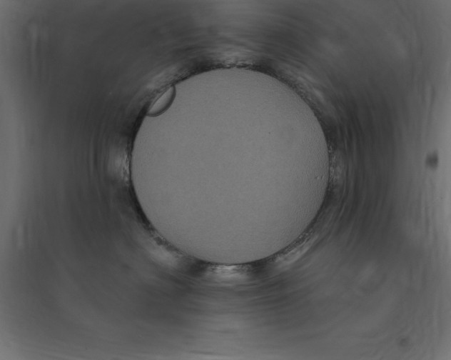 X0000094350622200711241916