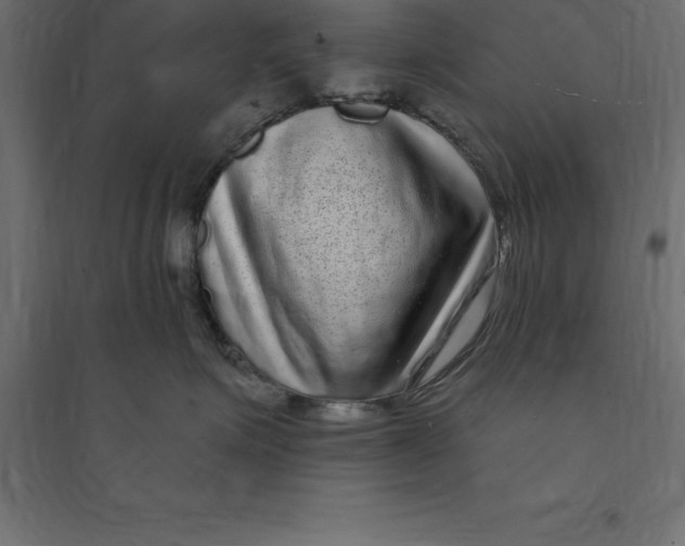 X0000094350623200711241916