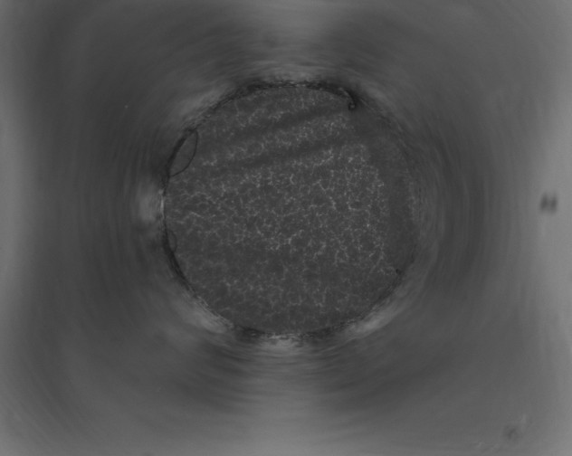 X0000094350624200711241916