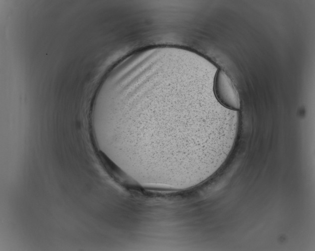 X0000094350625200711241915