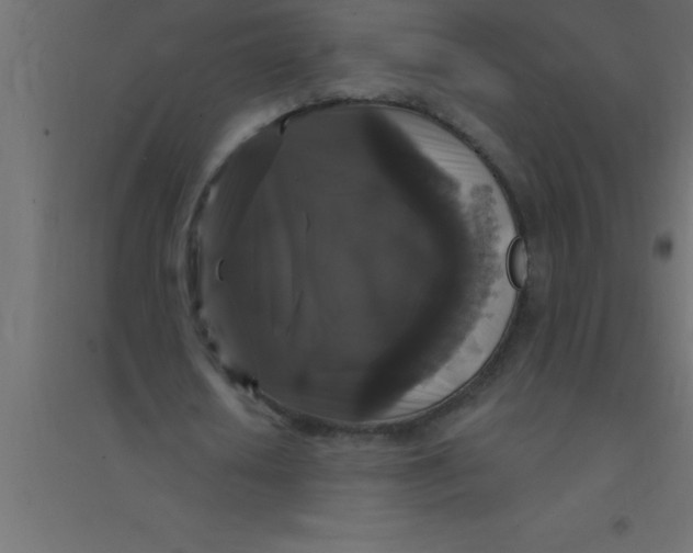 X0000094350626200711241915